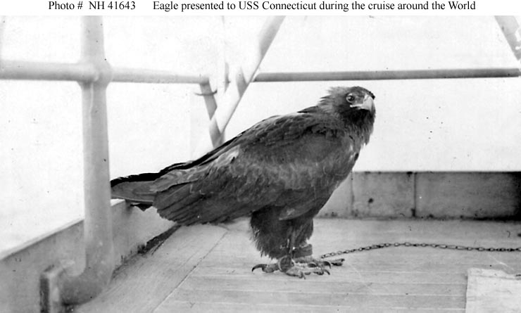 Eagle presented to USS Connecticut during the Great White Fleet’s world cruise, circa 1908.