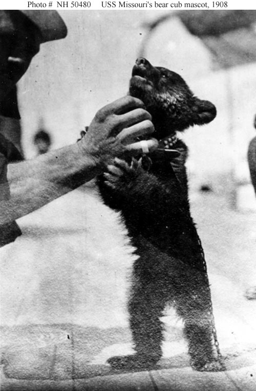The citizens of Seattle, Washington presented a bear cub to USS Missouri when that ship visited in 1908 as part of the Great White Fleet world cruise.