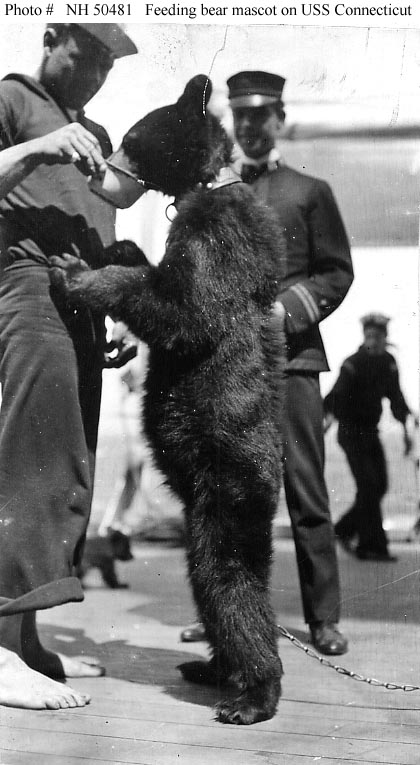 Feeding a bear mascot on board the USS Connecticut during the Great White Fleet cruise, circa 1908.