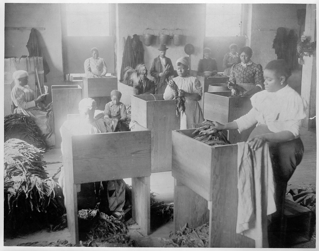 African Americans, mostly women, sorting tobacco at the T.B. Williams Tobacco Co., Richmond, Virginia