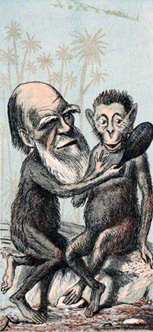 Charles Darwin as a monkey in The London Sketch-book (1874).