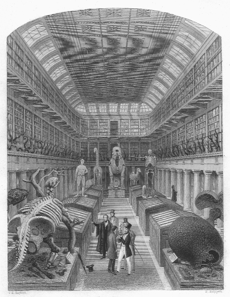 An old scene from the Hunterian Museum in London.