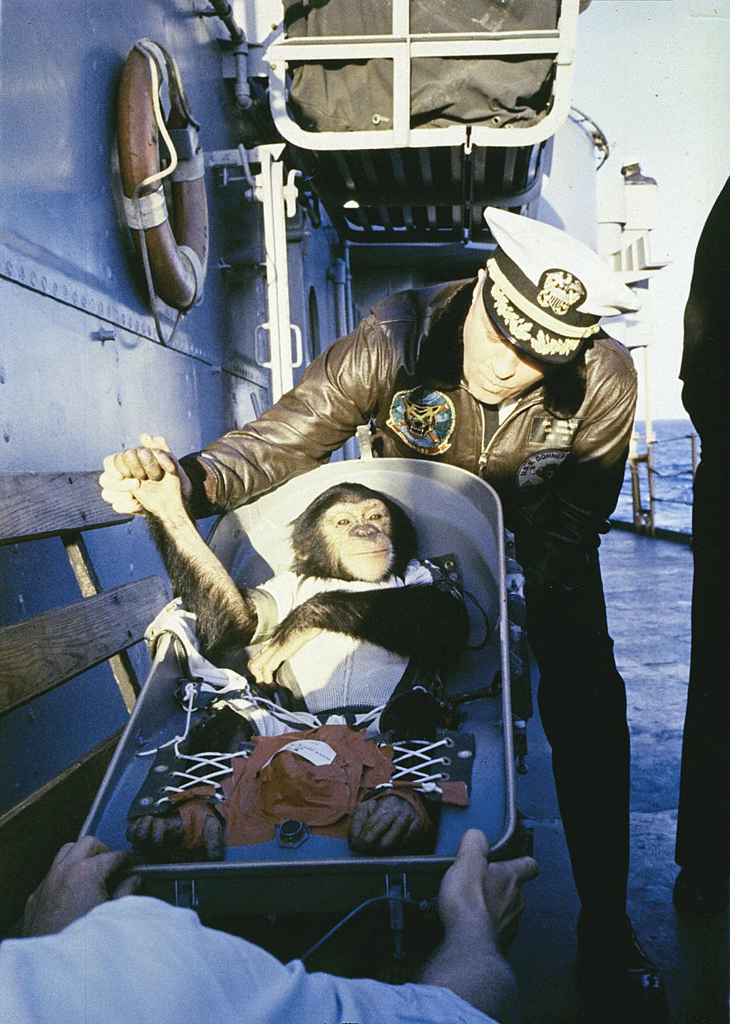 Ham the chimp is welcomed back with a 'handshake' after his January 1961 flight on the Mercury Redstone rocket.