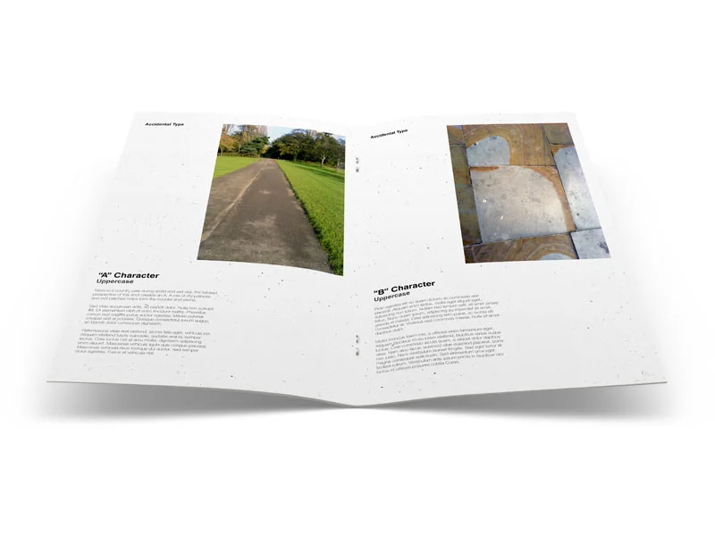 accidental_type_booklet_spread.jpg