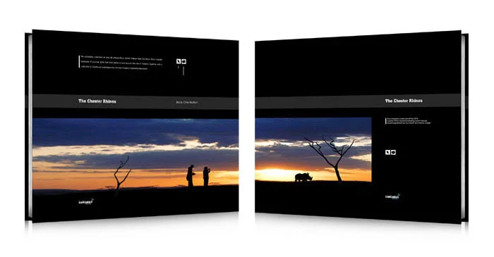 exhibition_book_series_rhinos_front_and_back.jpg