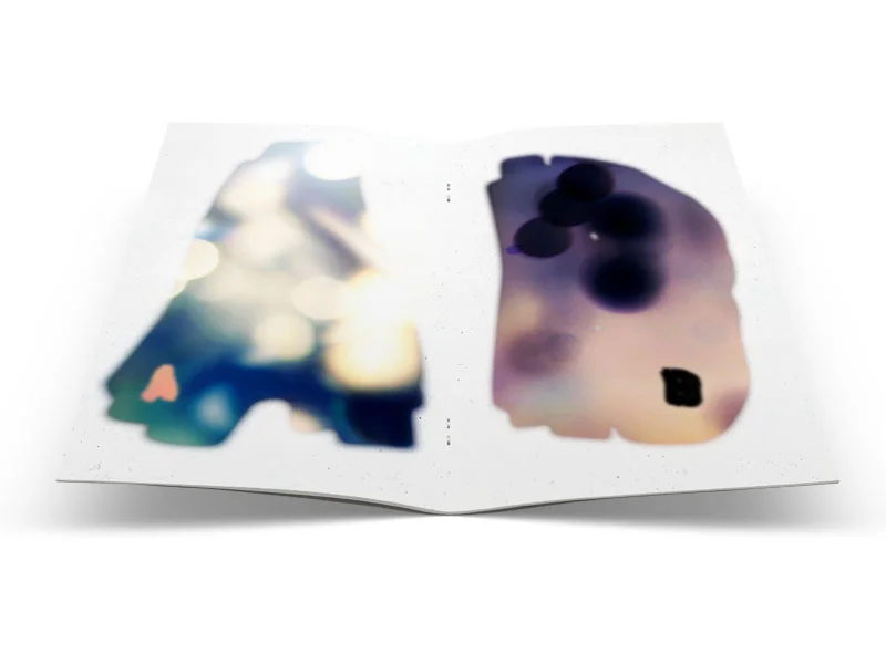 haze_typeface_booklet_spread.jpg