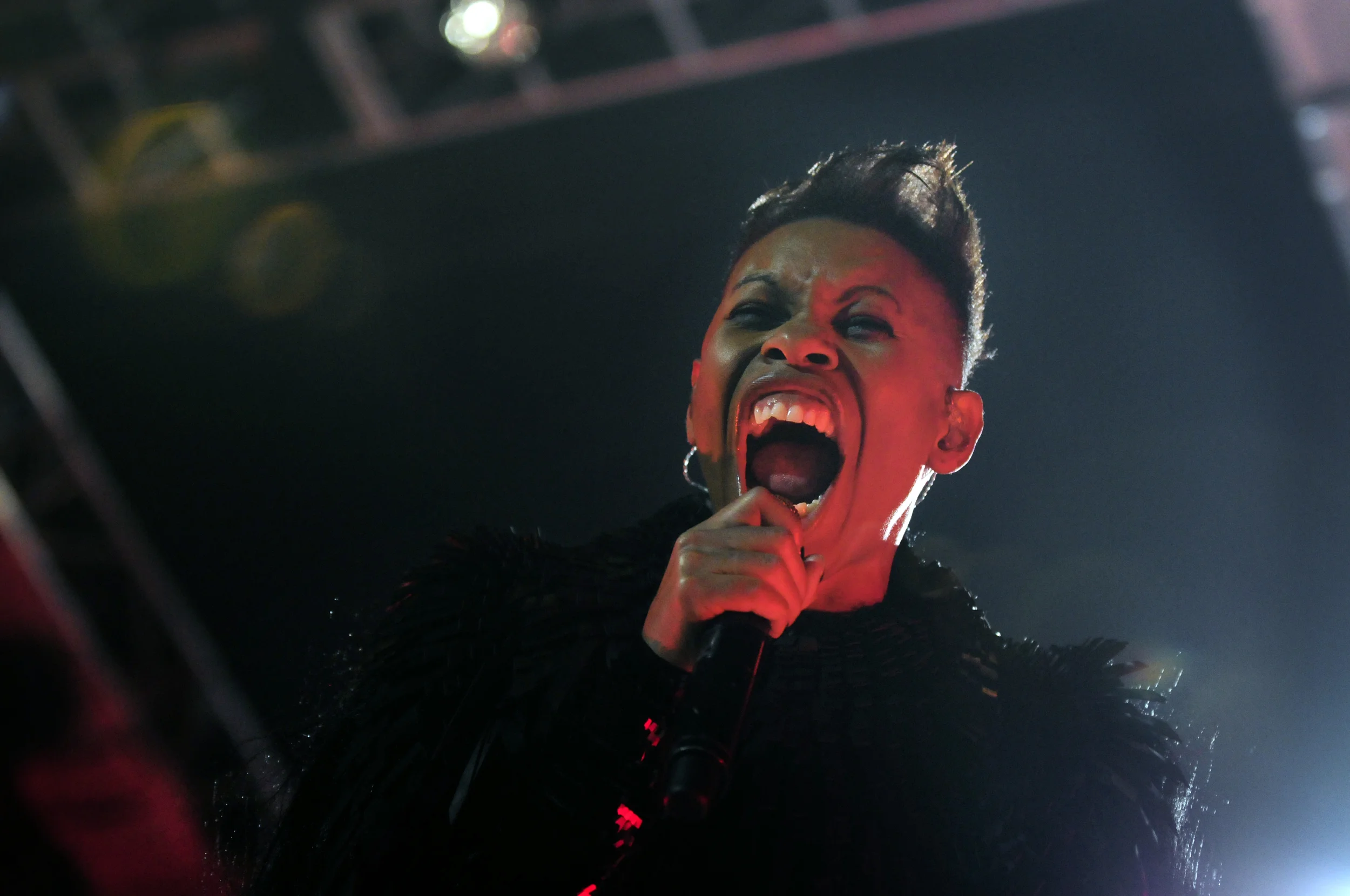 Skunk Anansie Ziggo Dome 25-11-2012_DSC6885.jpg