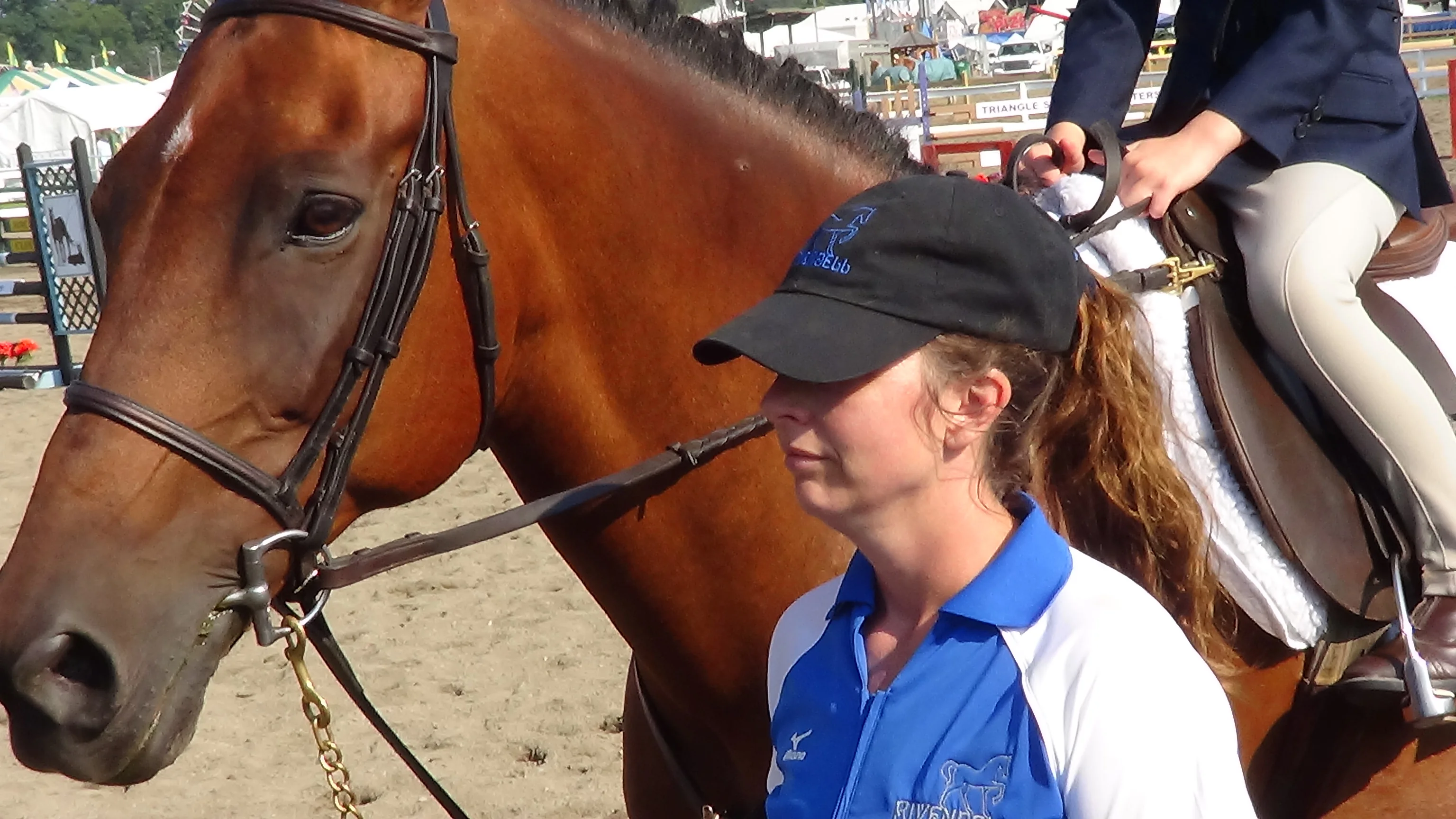 2013 DCFAIR PICTURES!