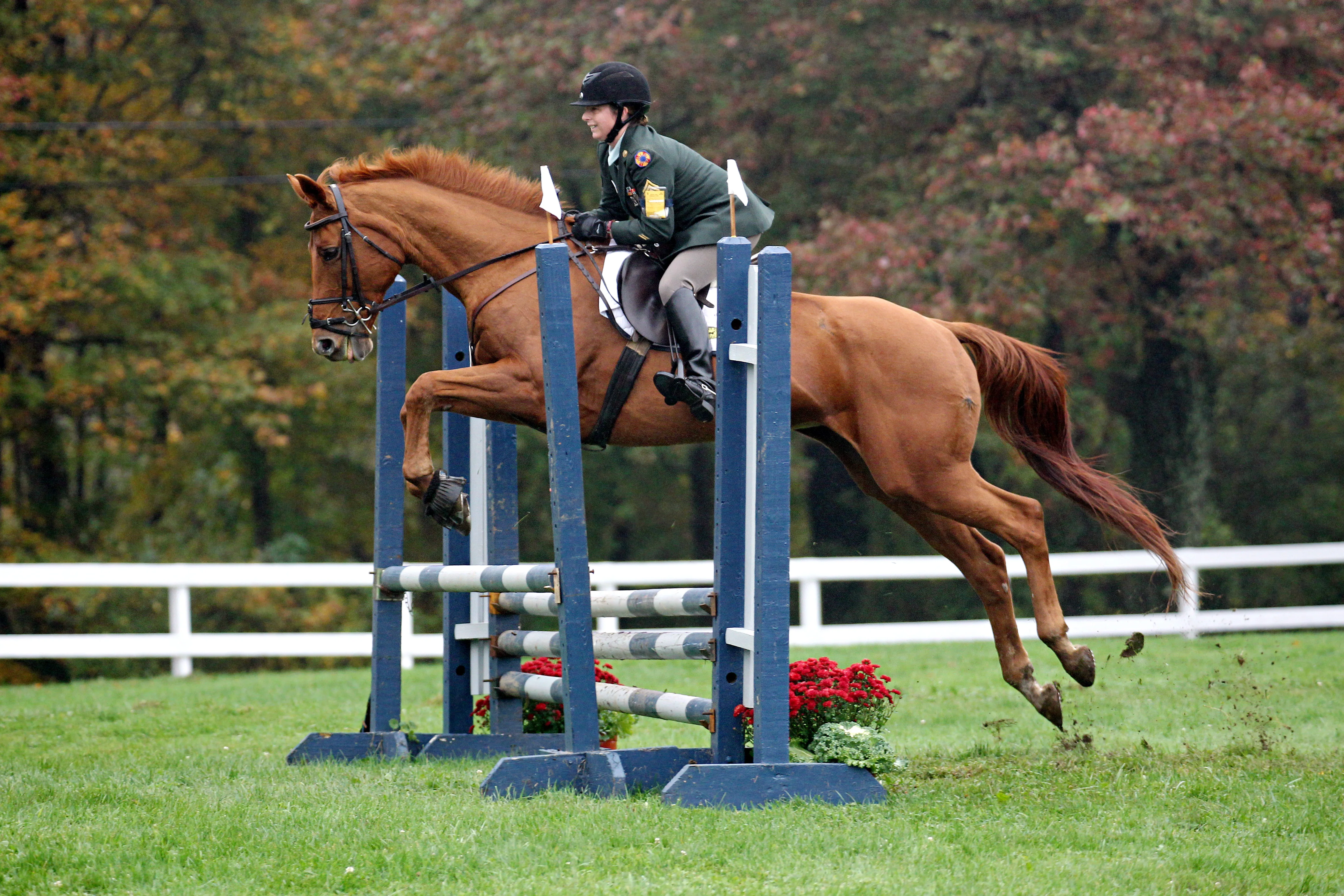 Instructor and Program Director Featured in Ads