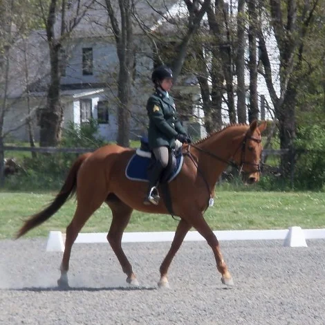 Kelly Lattin Featured in Poughkeepsie Journal