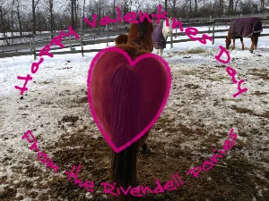 Happy Valentines Day!