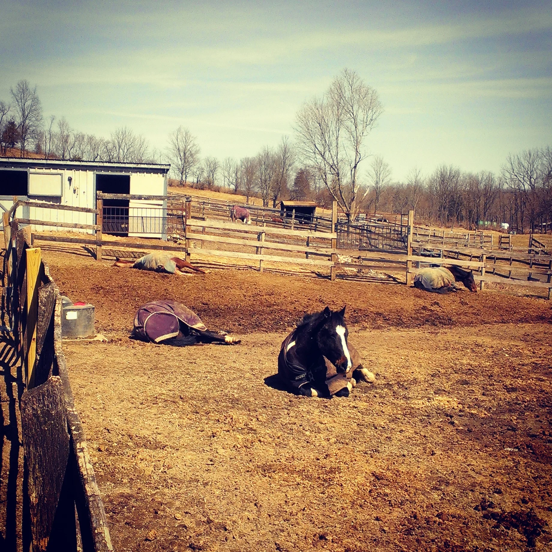 Spring is here and the girls are enjoying the sunshine!