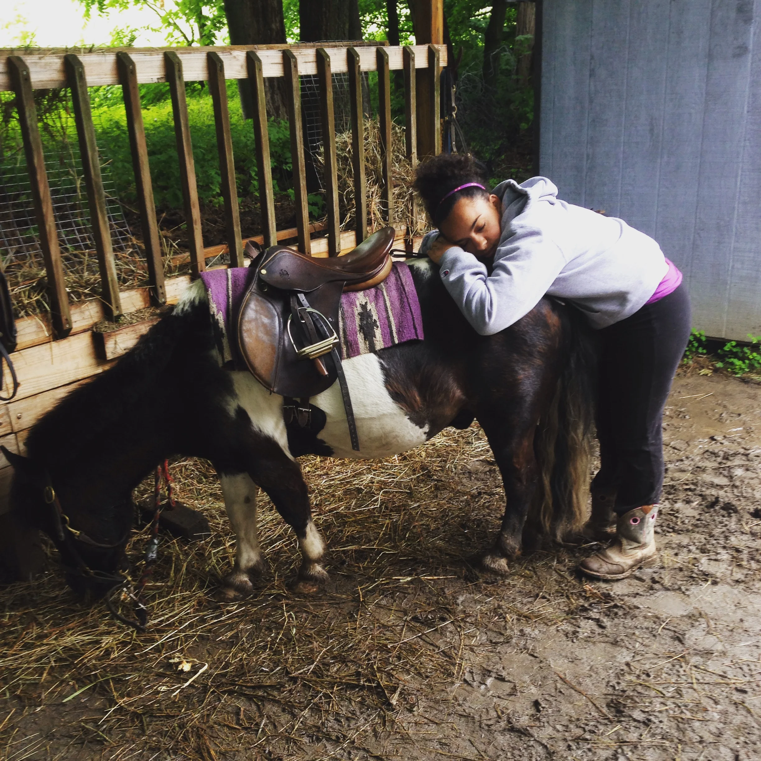 A new way to share your Pics with Rivendell!