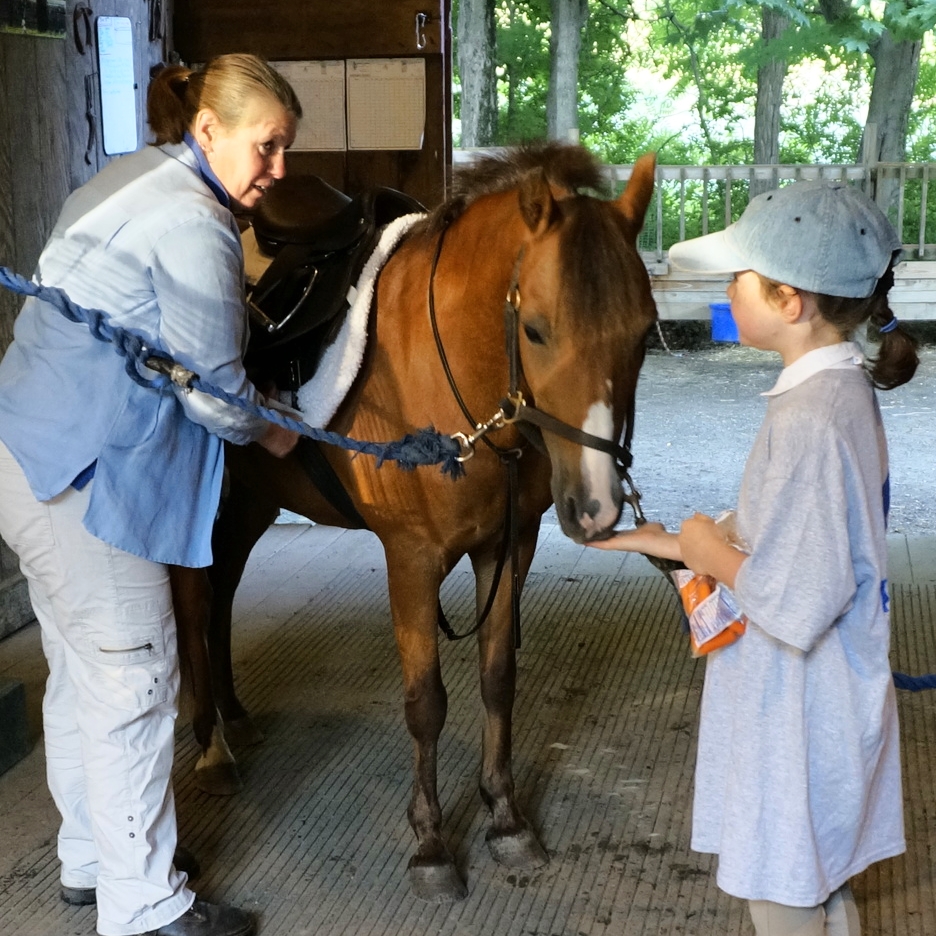 Week 5 and 6 of the Summer Program are FULL