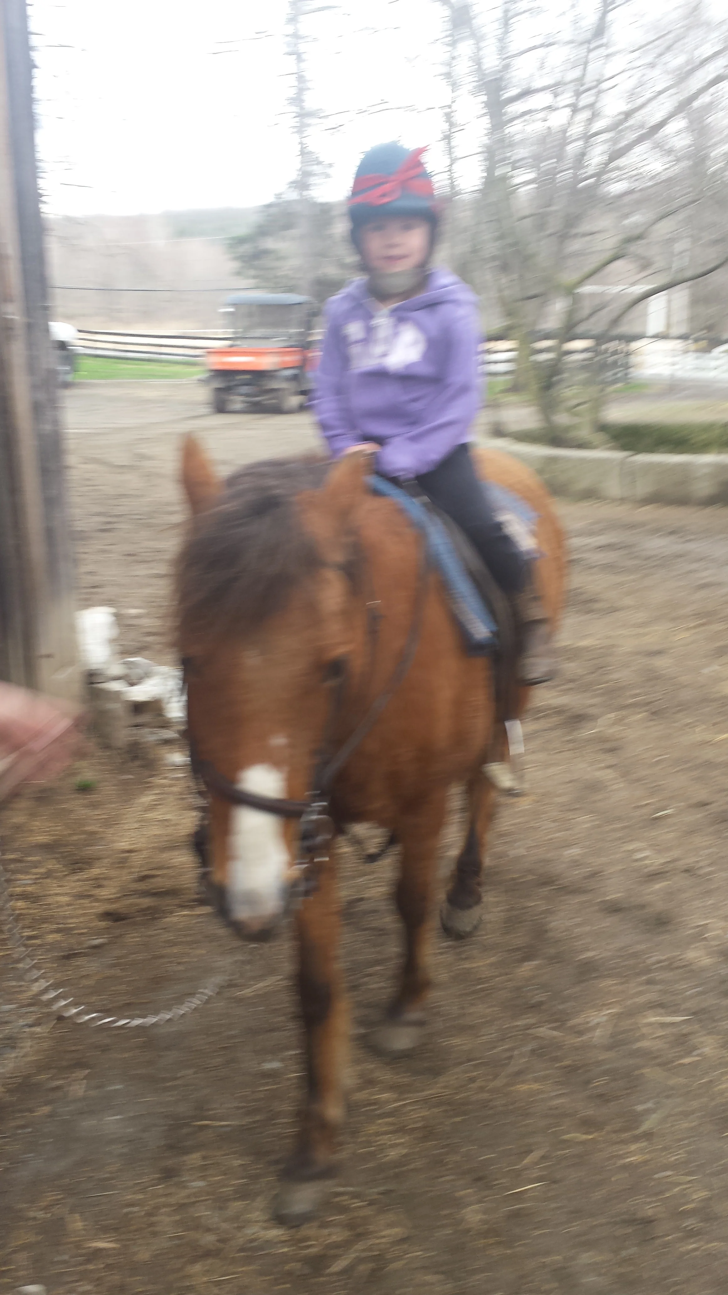 20150417_170834.jpg