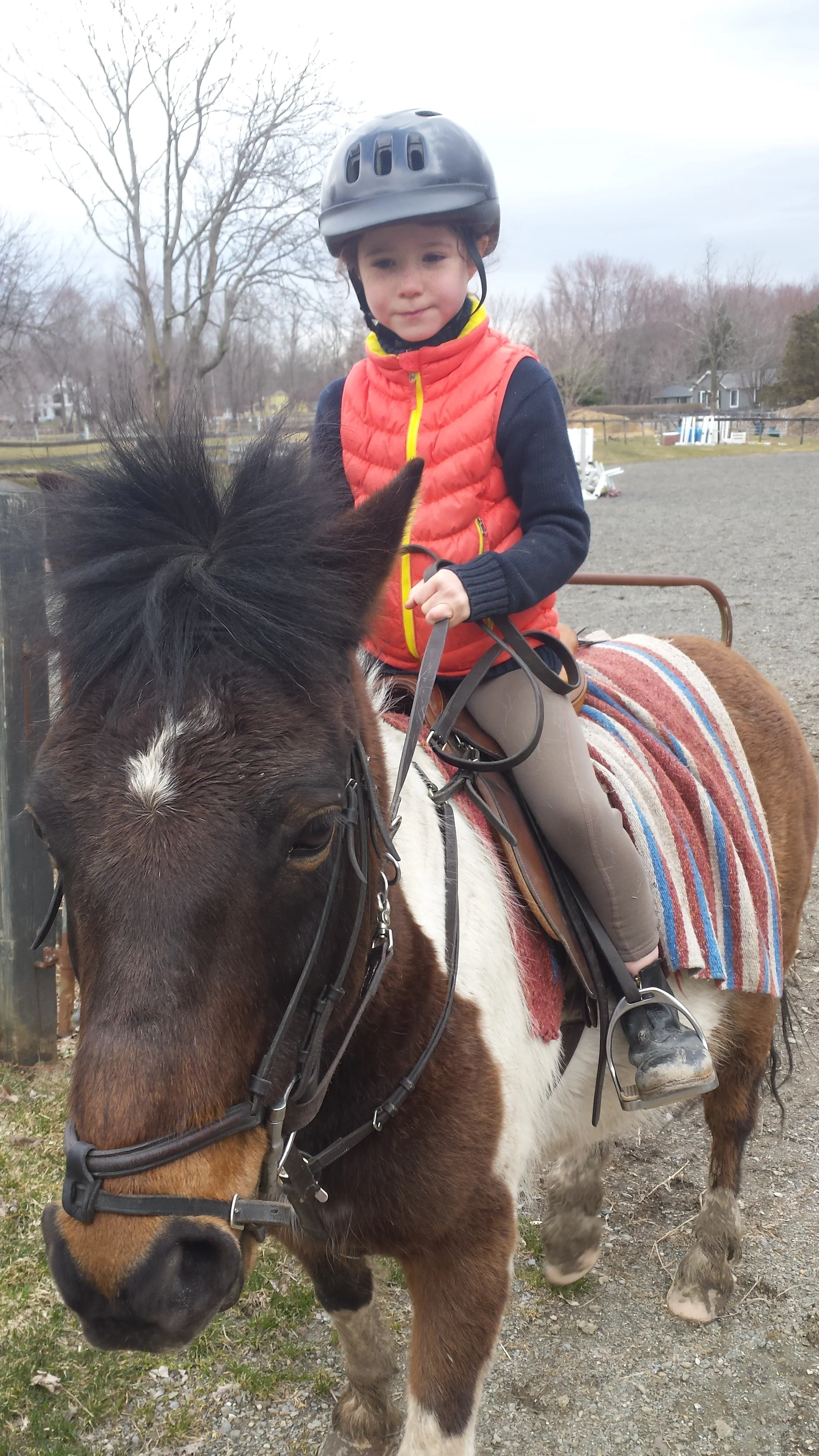 20150405_110949.jpg