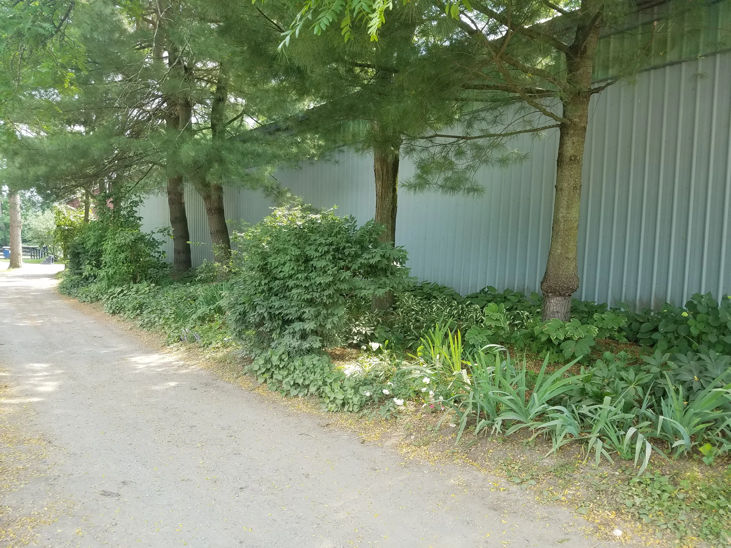 2016-06-20 15.19.45.jpg