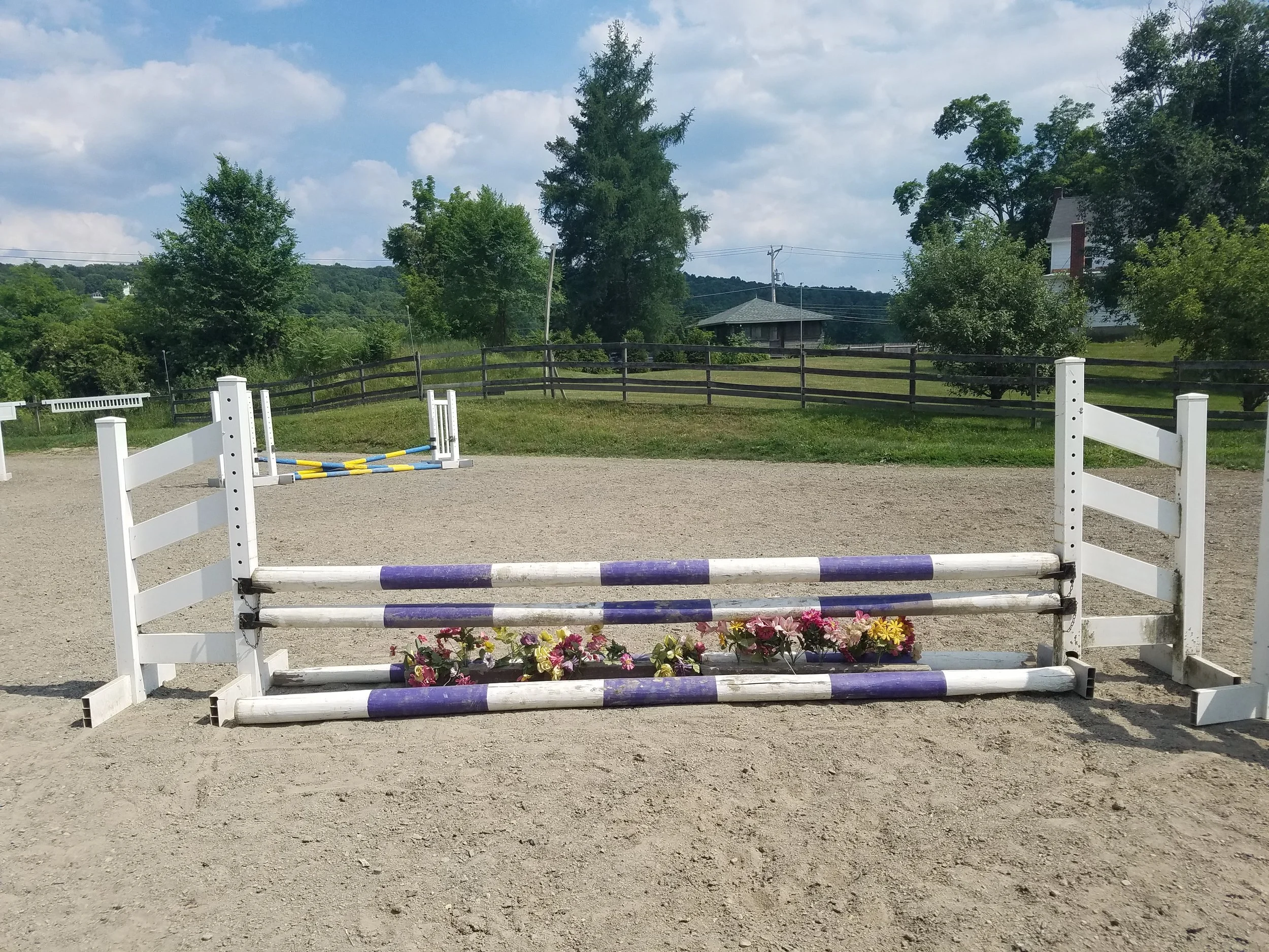 2016-06-20 15.26.21.jpg