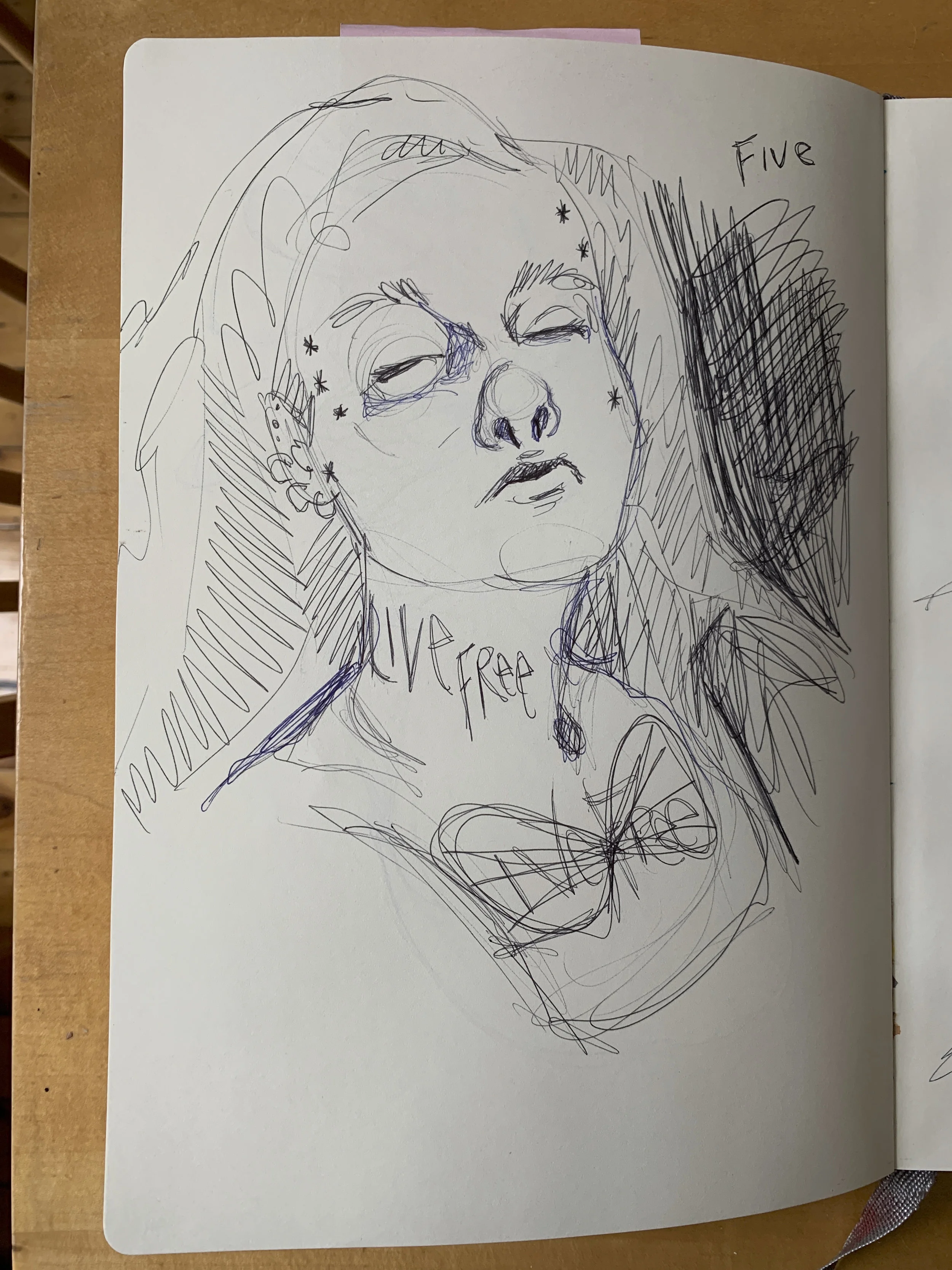 What became the 5 of Cicadas