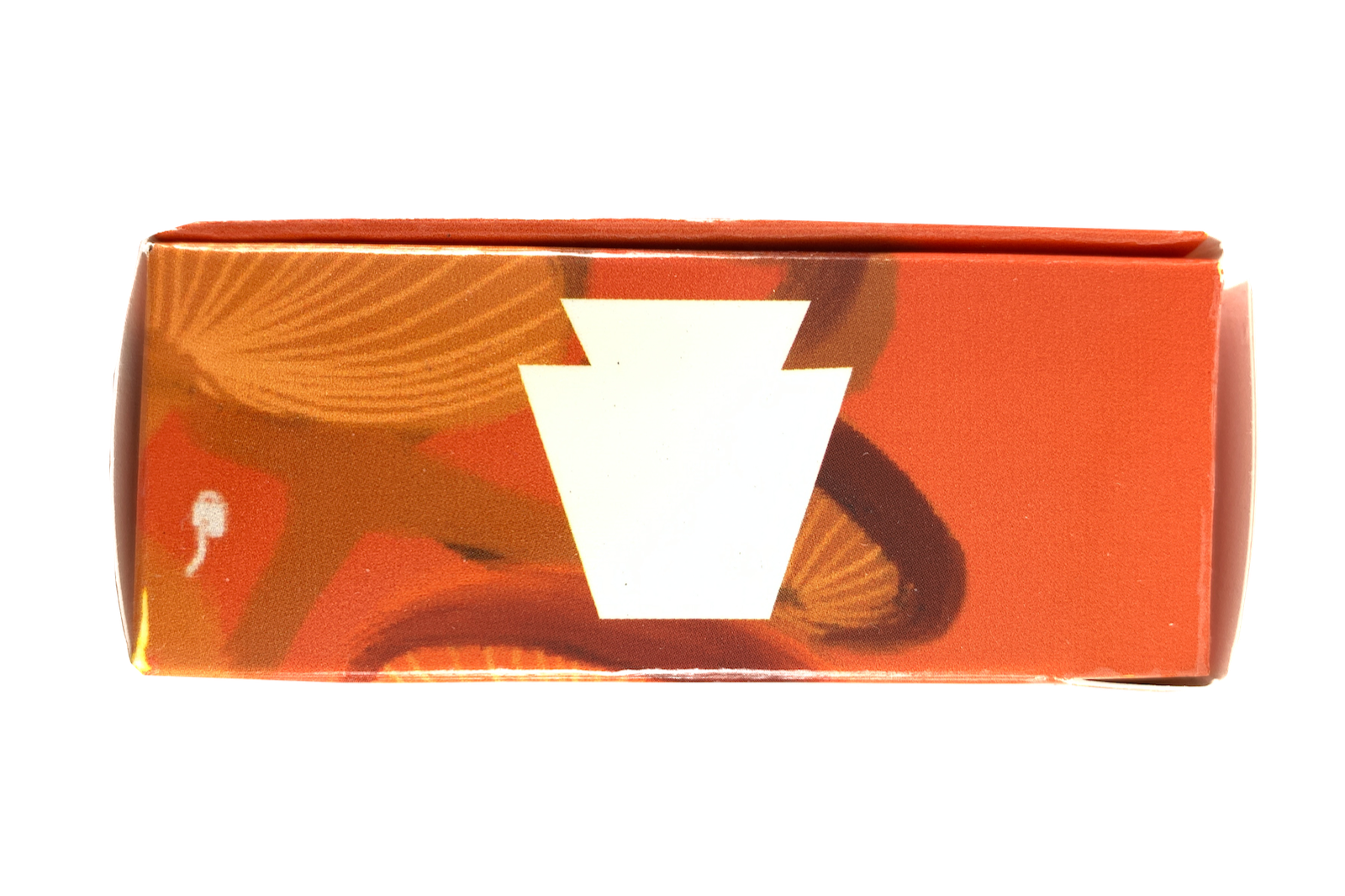 bridge-witches-a-tarot-deck-volume-3-top-keystone-killerpancake-ki11erpancake-illustration.png