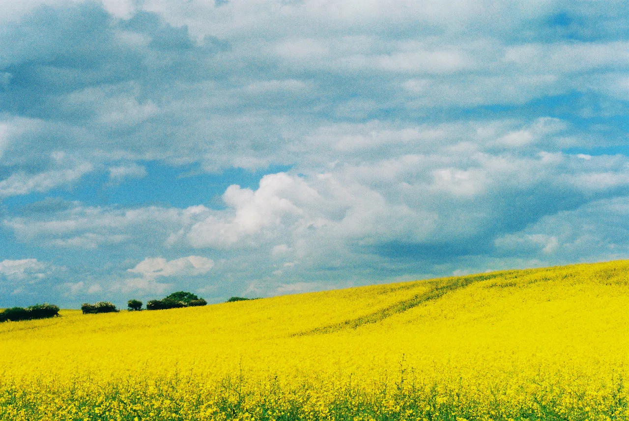 haecceity_by_sophminx-d3jf9ud.jpg