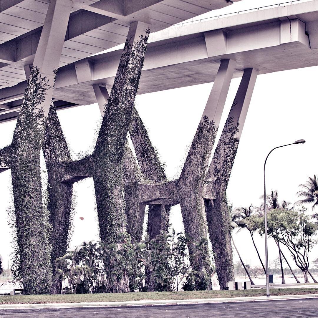 #urbanjungle #concretedesign #asia #f1circuit #f1track #grandprix #singapore #marinabay #marinabaystreetcircuit #f1 #travelphotography #architecture #overpass #southeastasia #stopover #ivy #greencity #instagood #artdirection #design #neverstopexplori