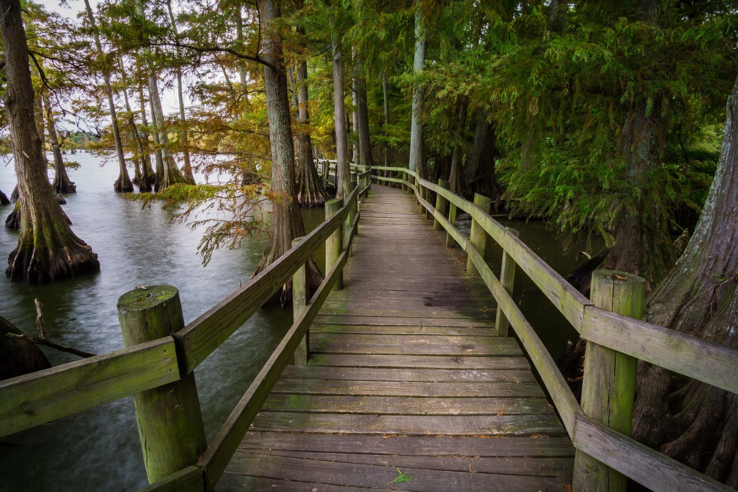 West Tennessee Photography Gallery — David Johnston Photography