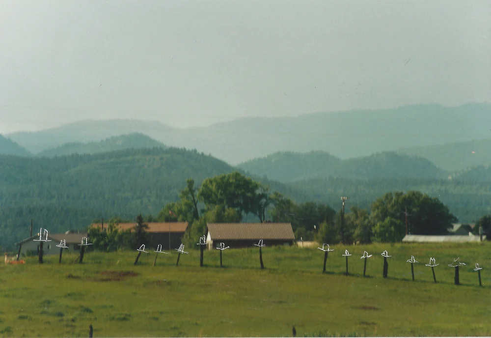 Fence