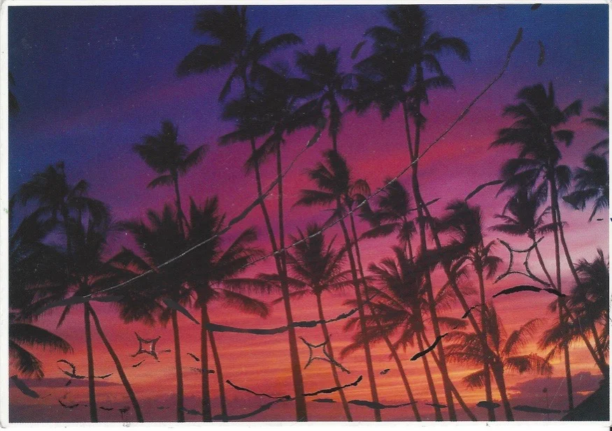 Believe in Magico, Waikiki
