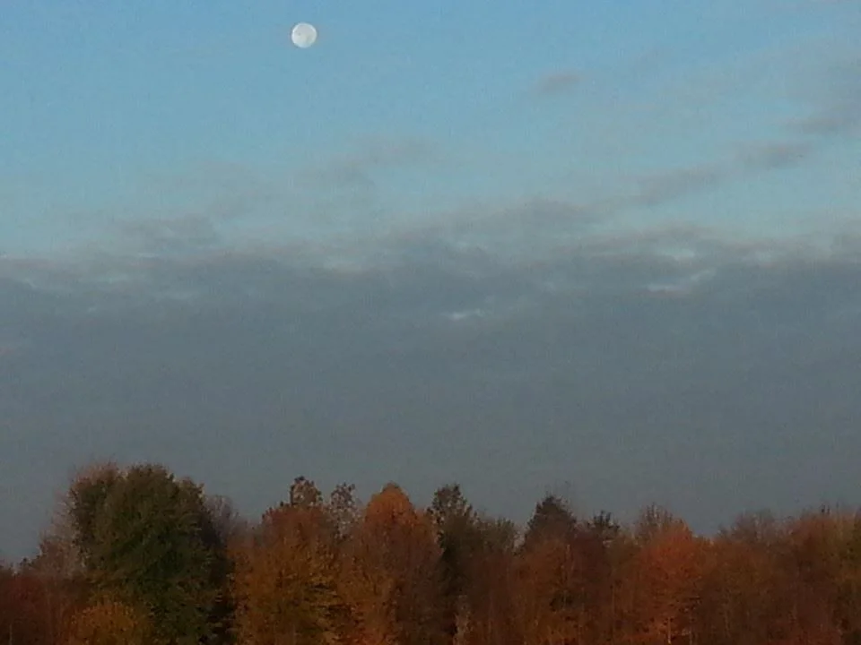 Morning Moon in Autumn.jpg