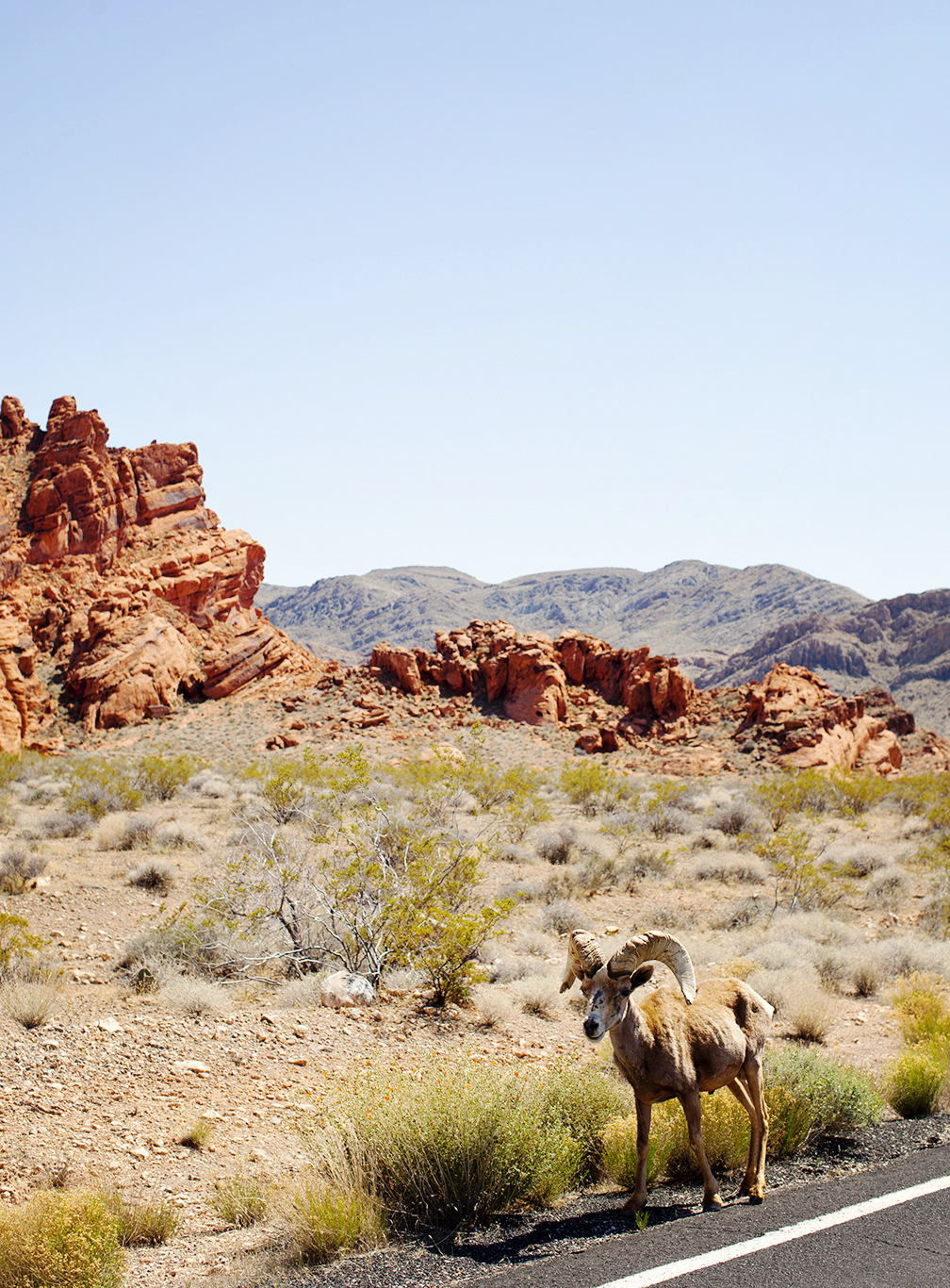 places_8806.jpg