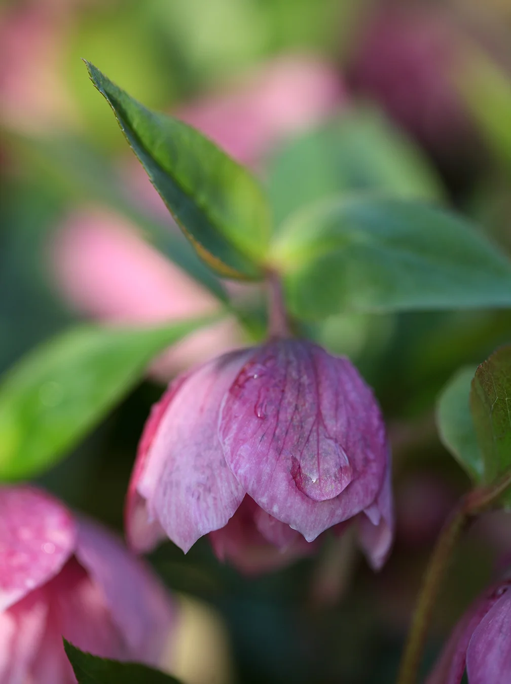 outside_9660.jpg