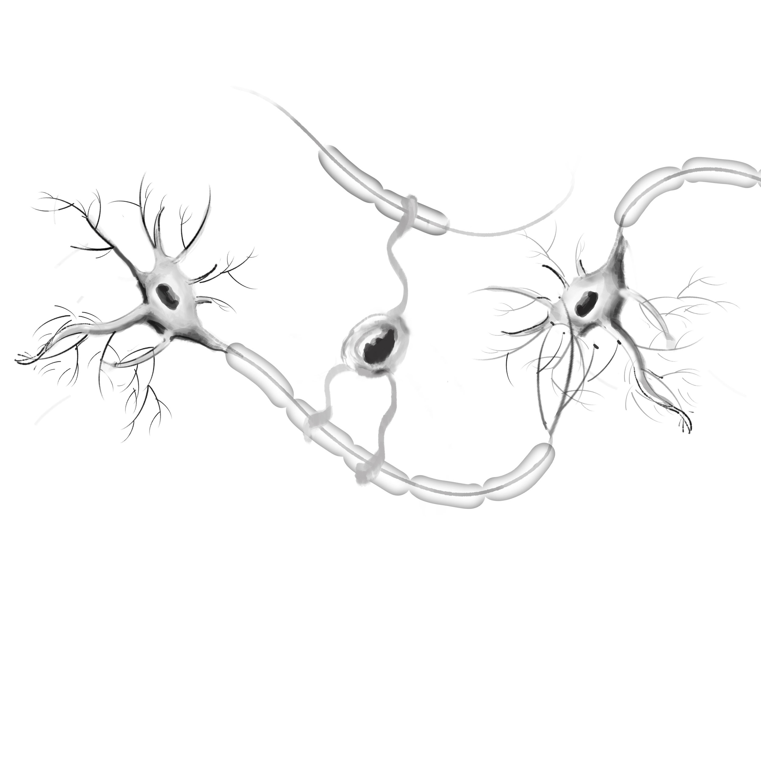 neuron-copy.jpg