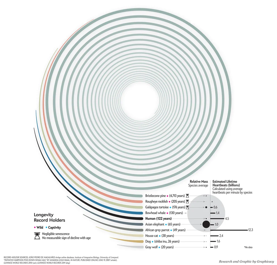 Graphic Science, Scientific American , July 2012. Art & research by Graphicacy