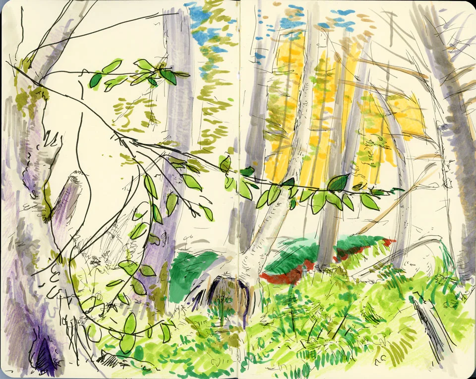 trees-vermont.jpg