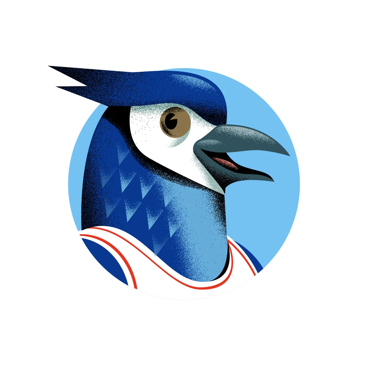Bluejay2.jpg