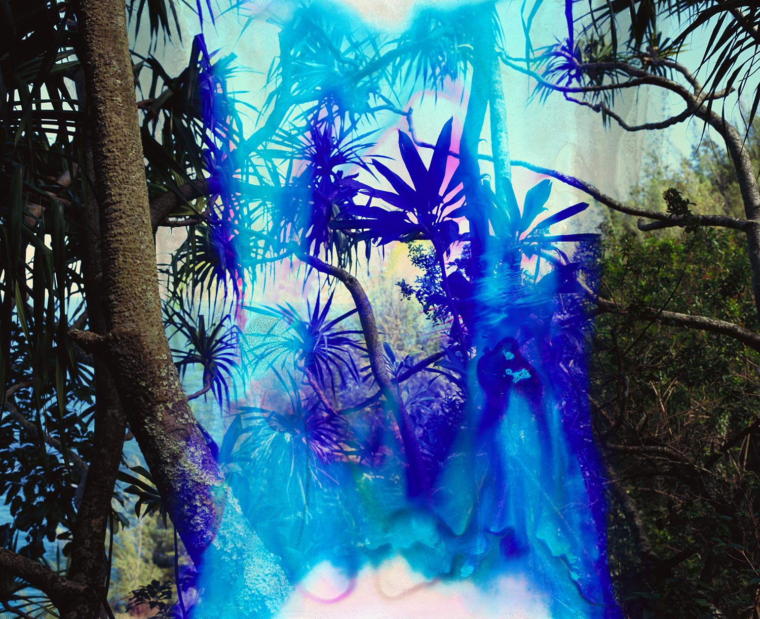  Exit Eden No. 14&nbsp; 