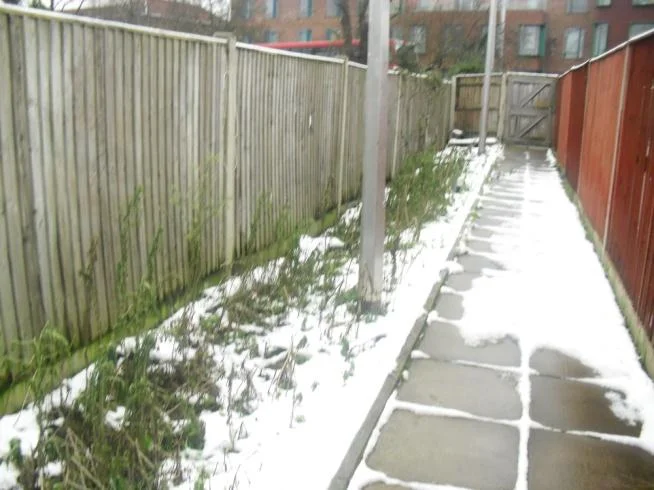 Sutton Mencap Outdoor Project - Overview