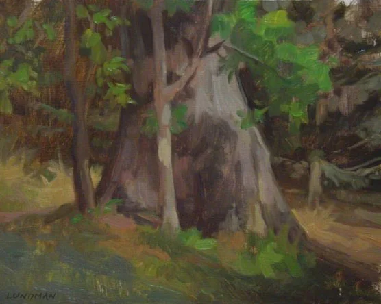 Lundman_TreeGoldenGatepark.jpg