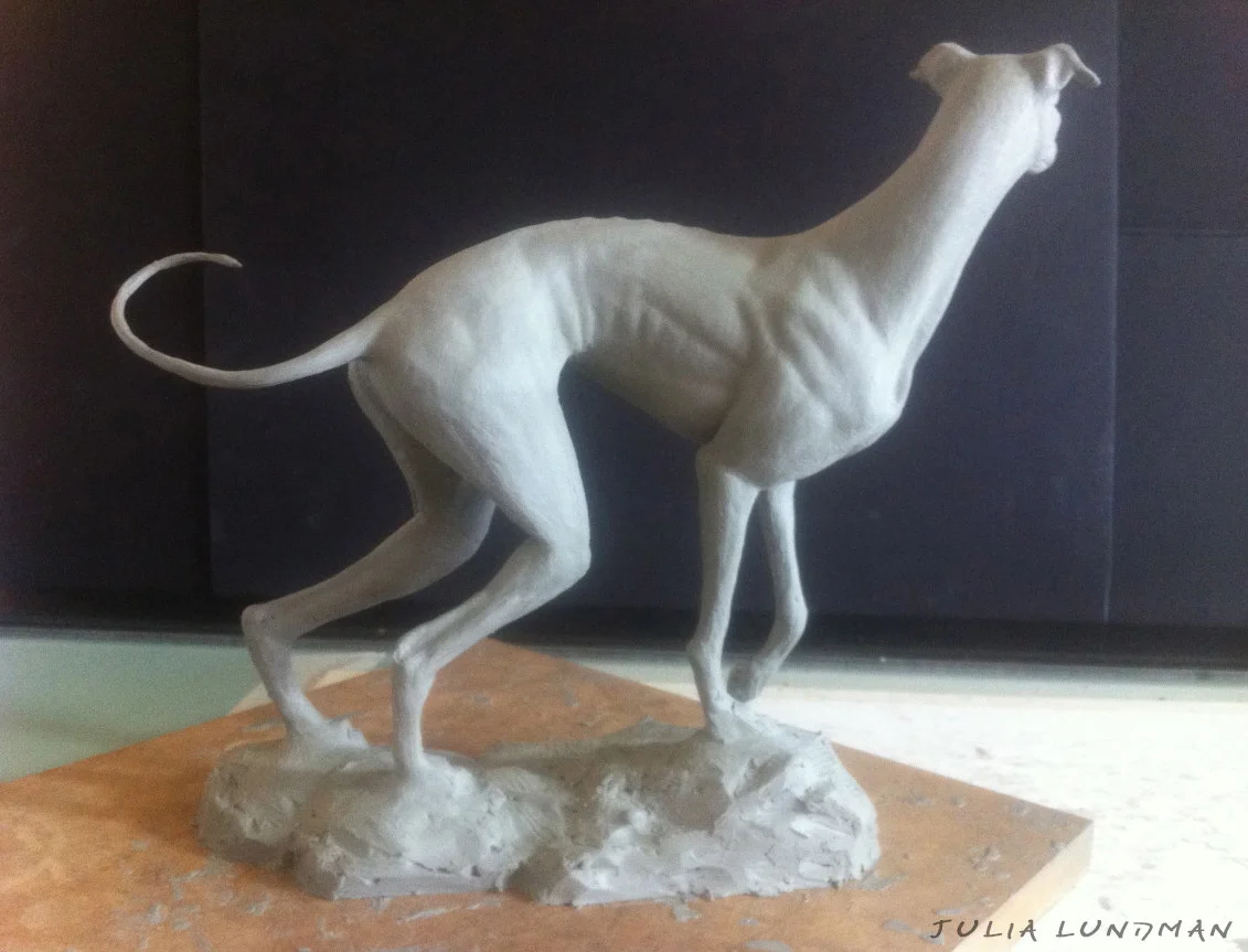 julia-lundman-lundman-greyhound2.jpg