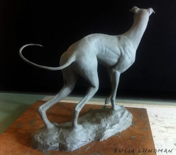 julia-lundman-lundman-greyhound3.jpg
