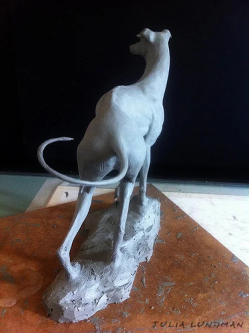 julia-lundman-lundman-greyhound4.jpg