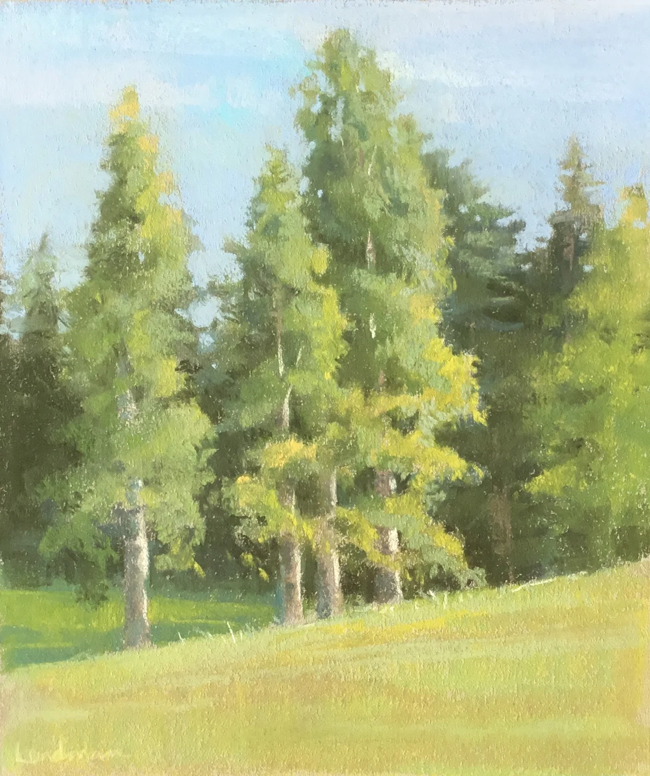 Lundman_BirchPines.jpg