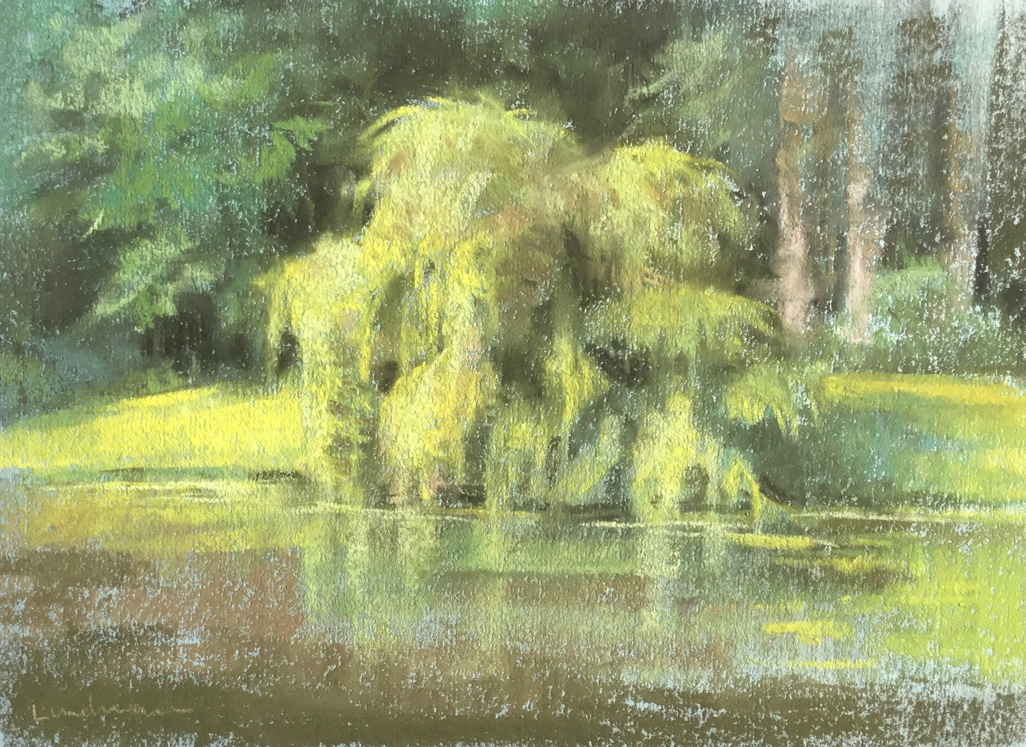Lundman_MorningWillowBloedel.jpg