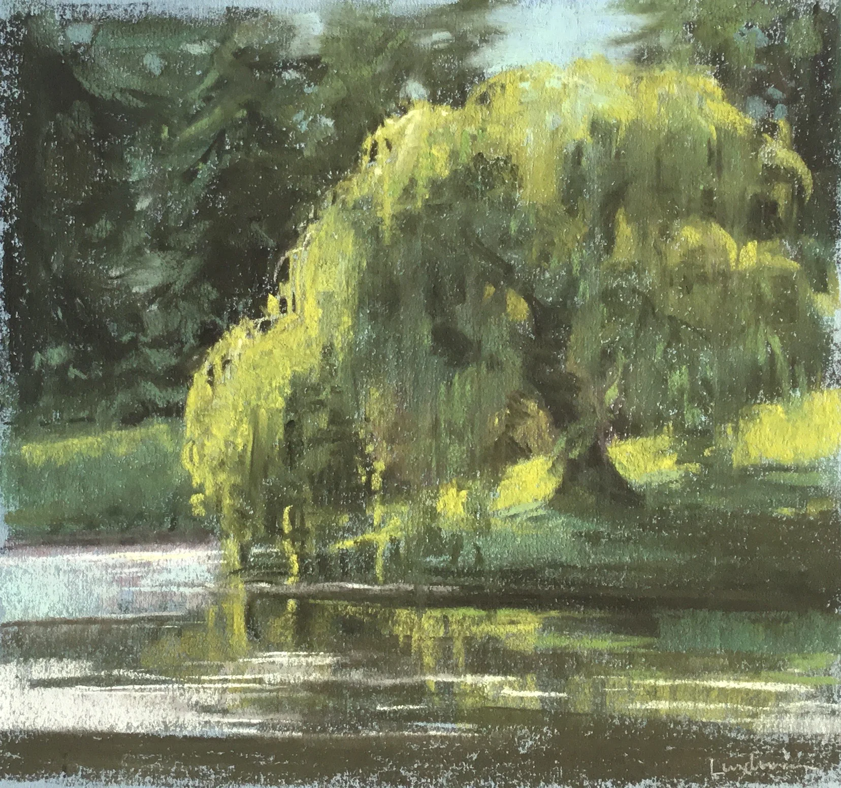 Lundman_AfternoonWillow.jpg