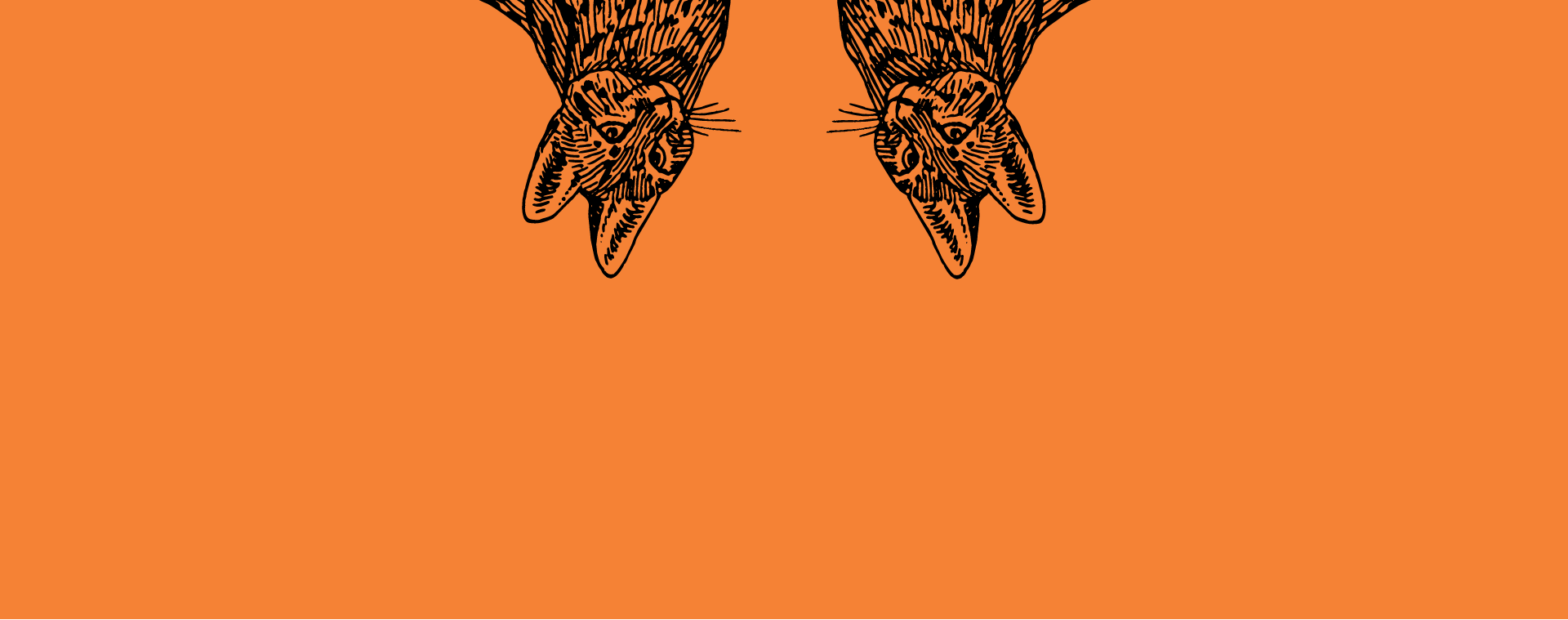 2019TxpCollateralBanner.png