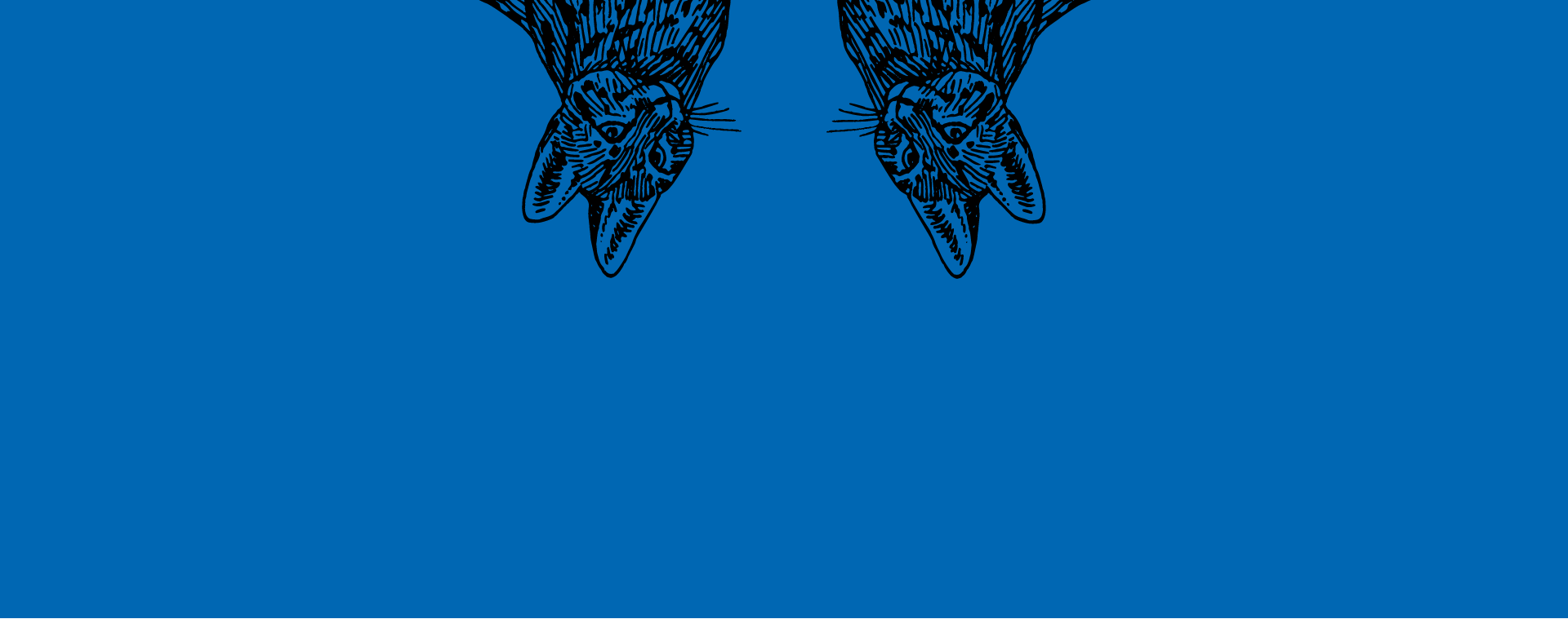 2019TxpMusicBanner.png