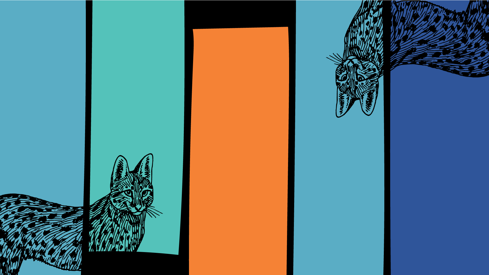 ToxoplasmaMay2019HomePage.png