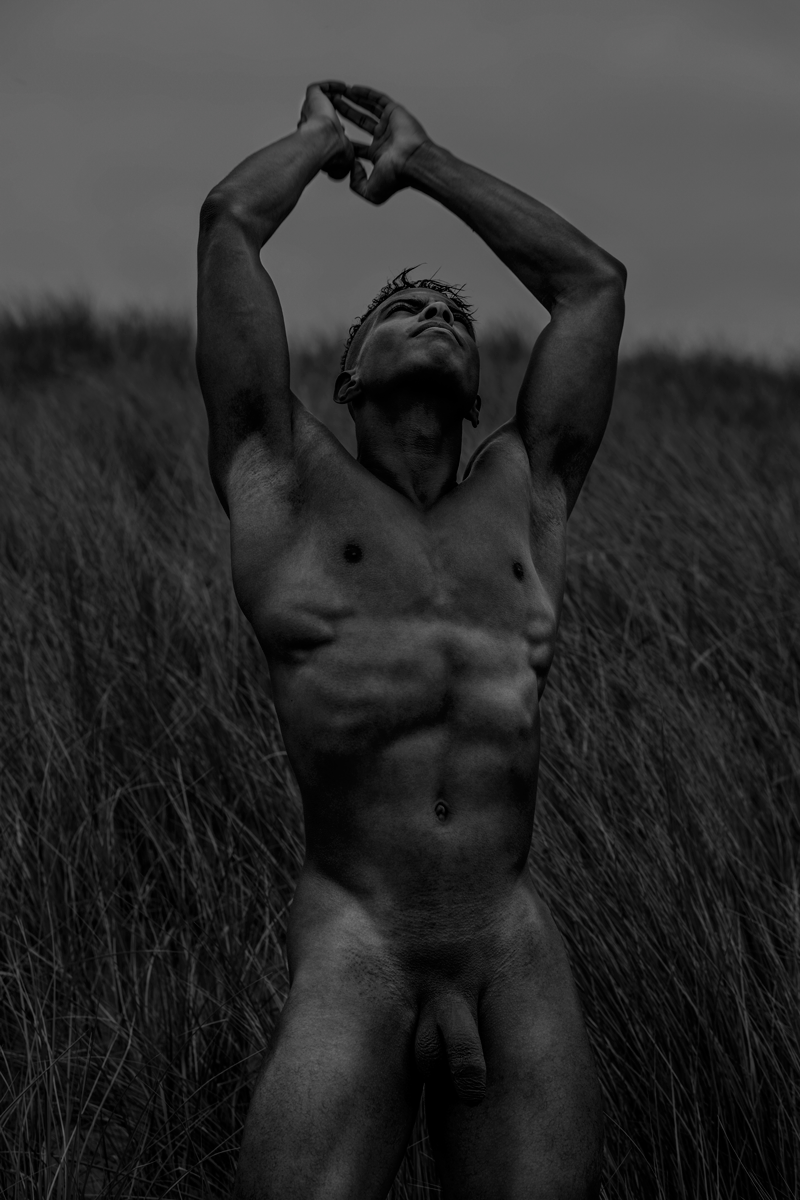 Henry-final2.png