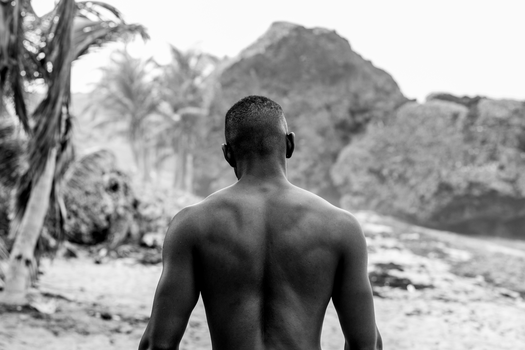 The Barbadian 2016